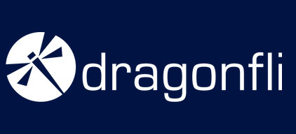 Cybersecurity Solutions | United States | Dragonfli